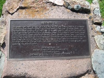 Bloomers Cut Marker. Click for full size. Bloomers Cut Marker image. Click for full size.