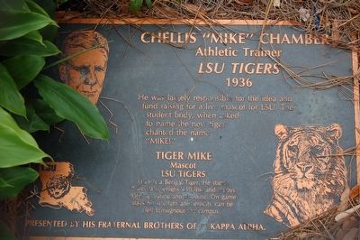 Chellis "Mike" Chambers Marker. Click for full size. Chellis "Mike" Chambers Marker image. Click for full size.