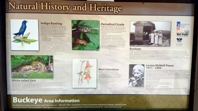 Natural History and Heritage Marker. Click for full size. Natural History and Heritage Marker image. Click for full size.