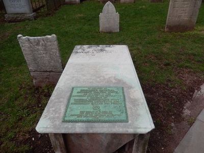 Brigadier General Anthony Walton White grave marker-distant shot image. Click for full size.