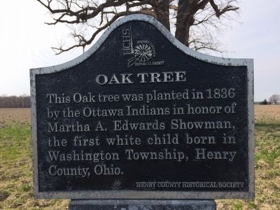 Oak Tree Marker image. Click for full size.