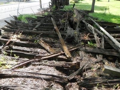 The Hay Schooner Carlotta, or what remains of her. Click for full size. The Hay Schooner Carlotta, or what remains of her image. Click for full size.