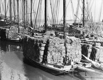 The <i>Annie L.,</i> a San Francisco scow schooner image. Click for full size.