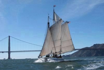 The <i>Alma,</i> a scow schooner, still sails the Bay image. Click for full size.