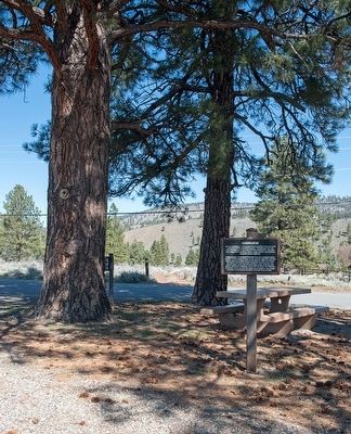 Overview Marker. Click for full size. Overview Marker image. Click for full size.