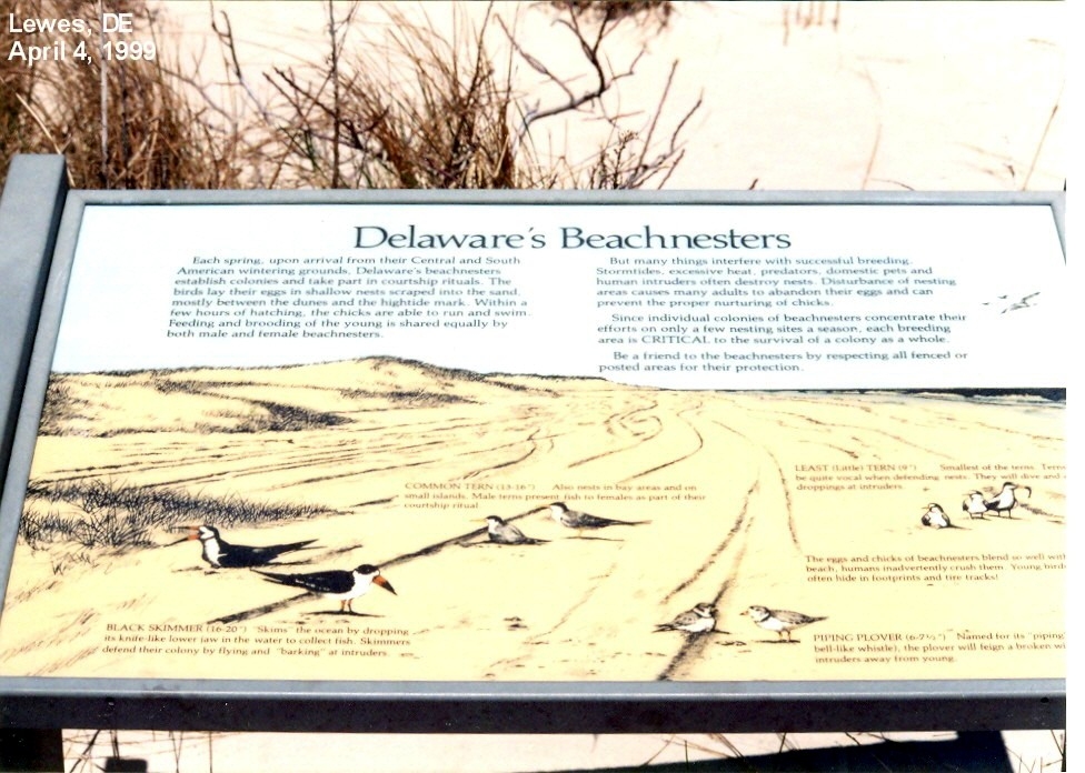 Delaware’s Beachnesters Marker