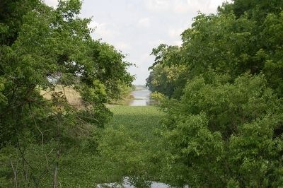 Bayou Fordoche image. Click for full size.