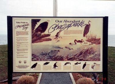 Our Abundant Chesapeake Marker image. Click for full size.