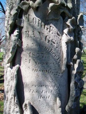 George S. Bangs Monument. Click for full size. George S. Bangs Monument image. Click for full size.
