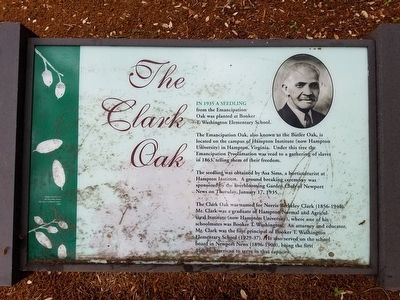 The Clark Oak Marker image. Click for full size.
