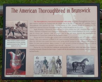 The American Thoroughbred in Brunswick Marker image. Click for full size.