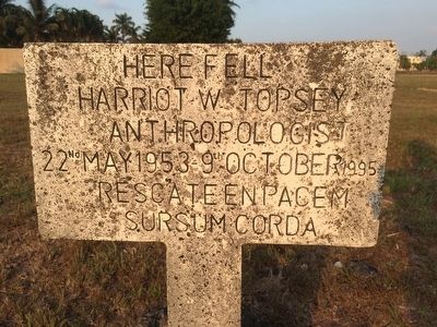 Harriot W. Topsey Marker. Click for full size. Harriot W. Topsey Marker image. Click for full size.
