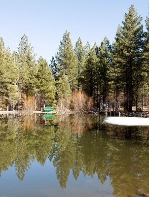 Marilyn's Pond at Galena Creek Fish Hatchery. Click for full size. Marilyn's Pond at Galena Creek Fish Hatchery image. Click for full size.