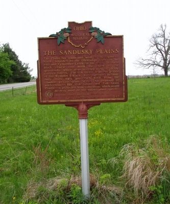 The Sandusky Plains Marker image. Click for full size.