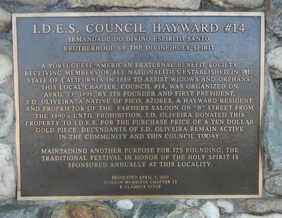 I.D.E.S. Council Hayward #14 Marker image. Click for full size.