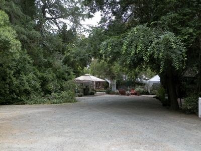 From 1/2-way Down the Driveway. Click for full size. From 1/2-way Down the Driveway image. Click for full size.