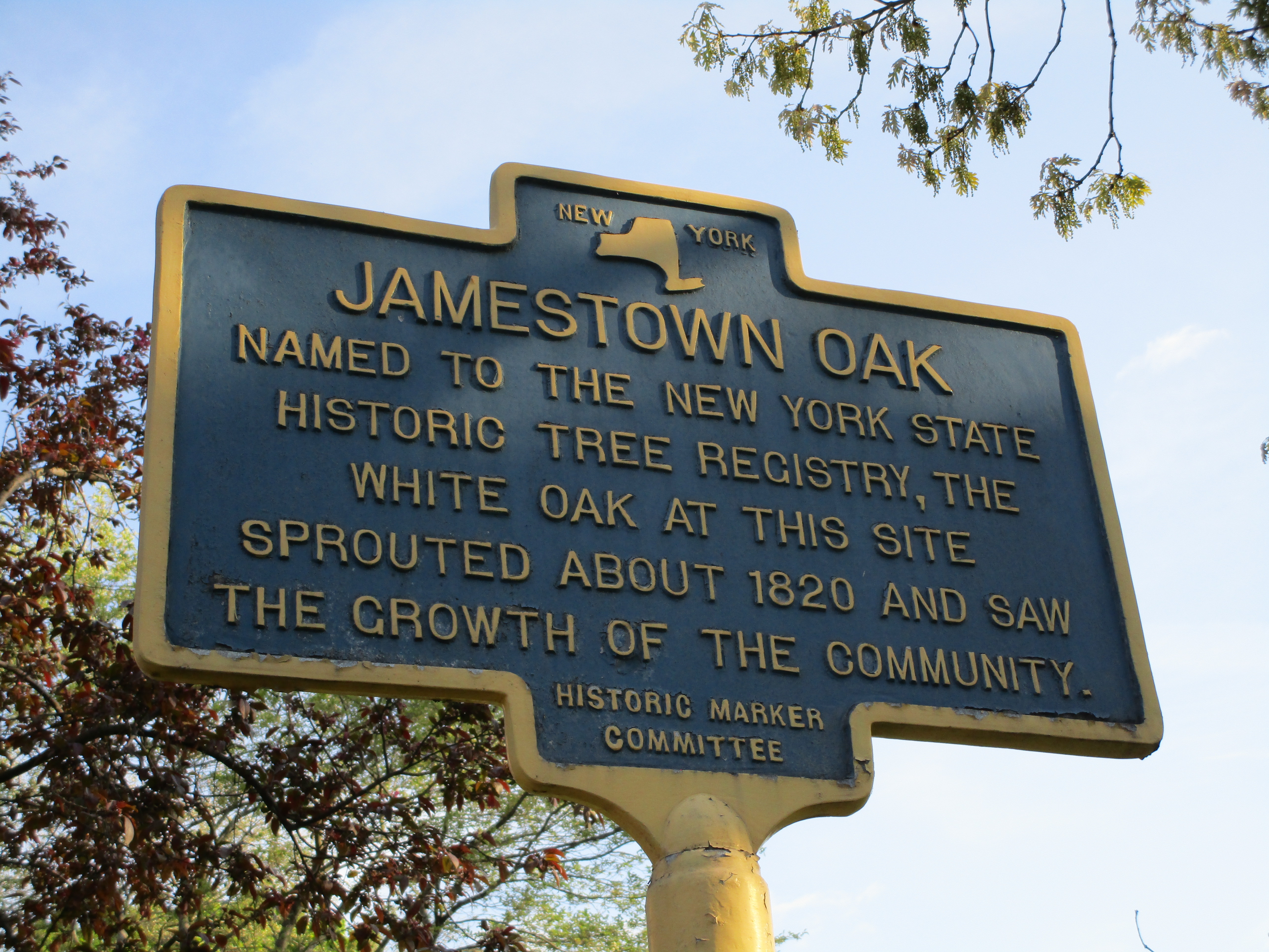 Jamestown Oak Marker