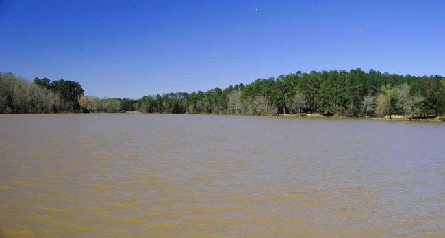 Chester State Park Lake, Chester State Park image. Click for full size.