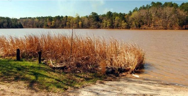 Chester State Park Lake, Chester State Park image. Click for full size.