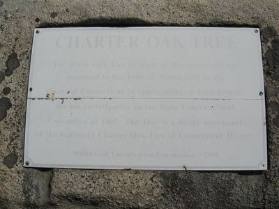 Charter Oak Tree Marker image. Click for full size.