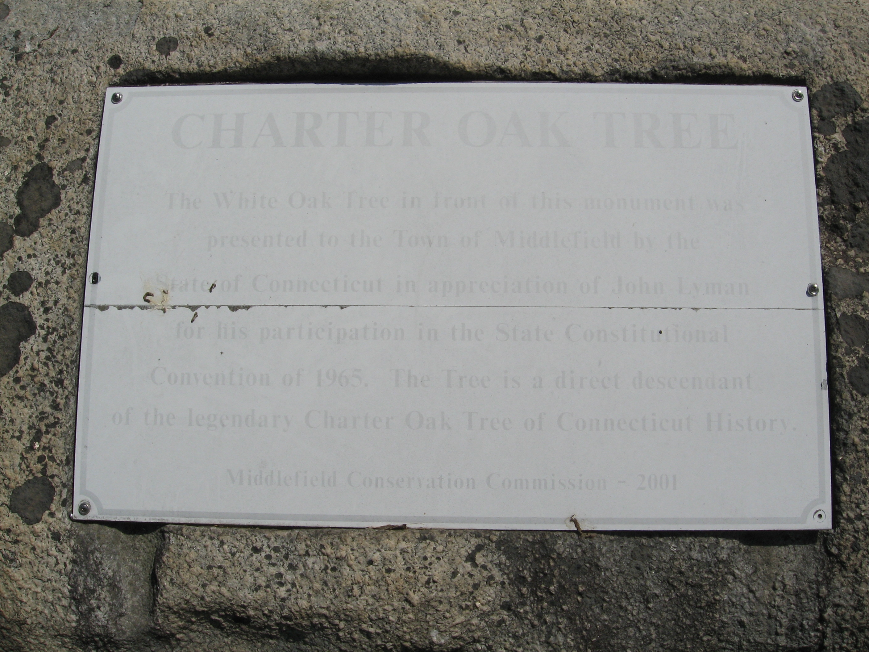 Charter Oak Tree Marker