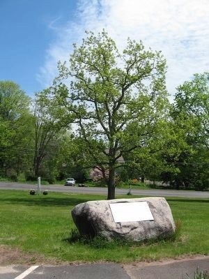 The Charter Oak Tree and Marker image. Click for full size.