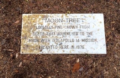 "Moon Tree" Marker. Click for full size. "Moon Tree" Marker image. Click for full size.