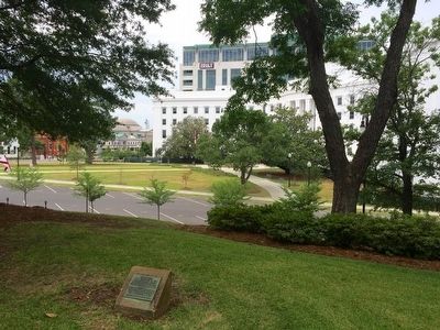 Marker with tree in background.. Click for full size. Marker with tree in background. image. Click for full size.
