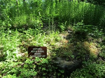 The Lewiston Mound. Click for full size. The Lewiston Mound image. Click for full size.