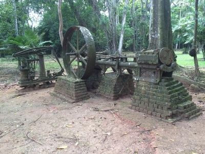 Tredegar steam powered water pump in Belize image. Click for full size.