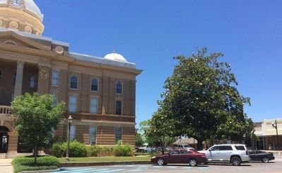 Clay County / Clay County Courthouse Marker (under trees on right) image. Click for full size.