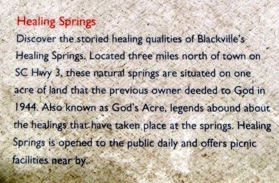 Blackville Marker<br>Healing Springs image. Click for full size.