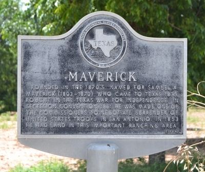 Maverick Marker image. Click for full size.