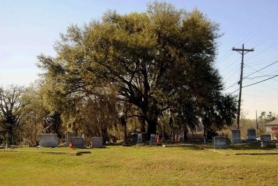 Barnwell Baptist Church Cemetery image. Click for full size.