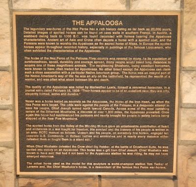 The Appaloosa Marker image. Click for full size.