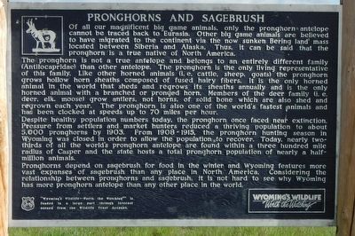 Pronghorns and Sagebrush Marker. Click for full size. Pronghorns and Sagebrush Marker image. Click for full size.