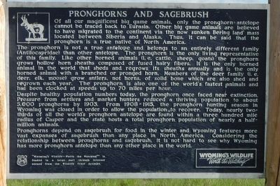 Pronghorns and Sagebrush Marker image. Click for full size.