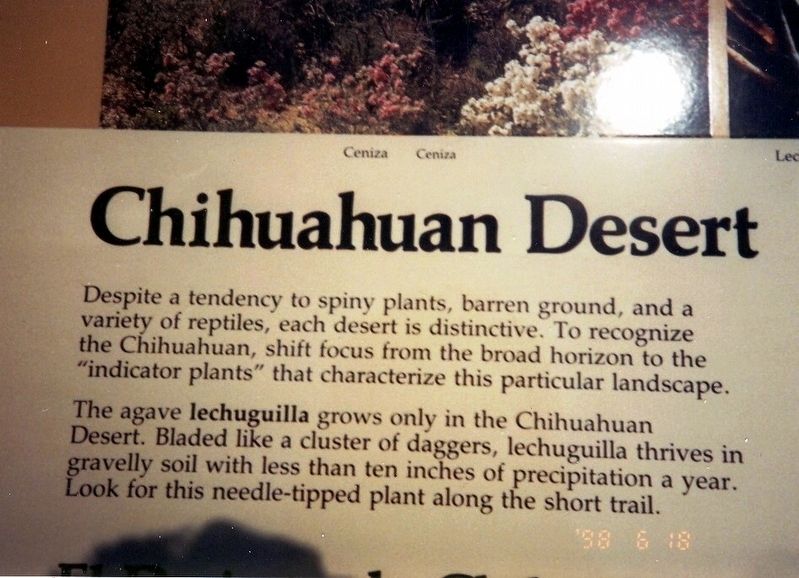 Chihuahuan Desert Marker image. Click for full size.