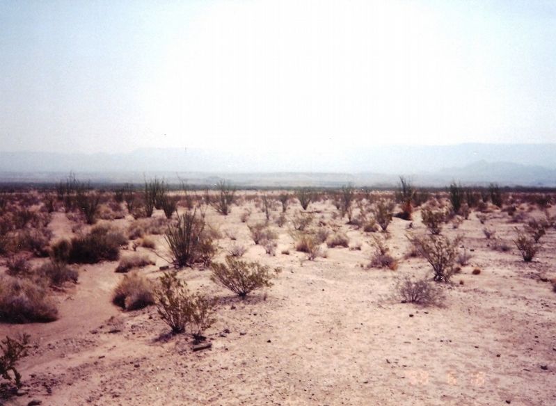 Chihuahuan Desert image. Click for full size.