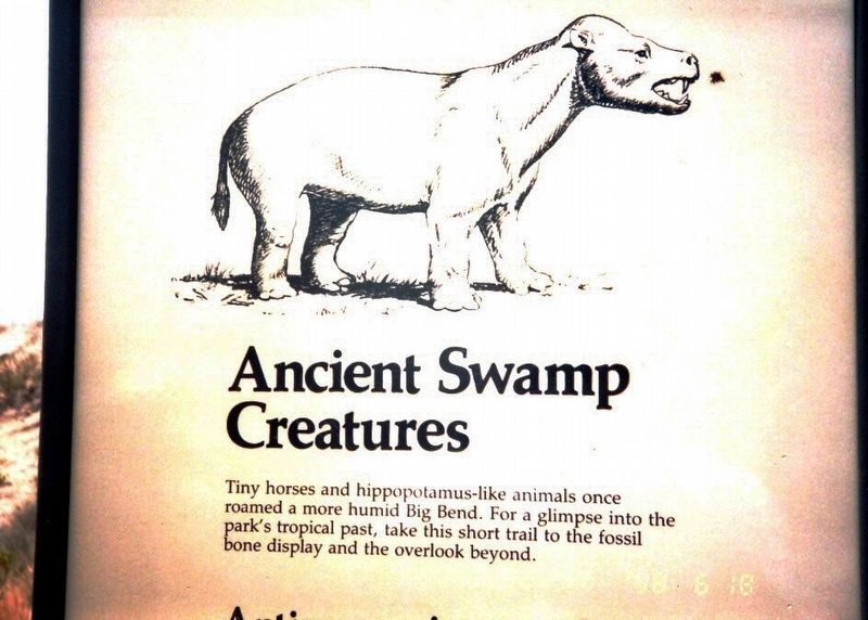 Ancient Swamp Creatures Marker image. Click for full size.