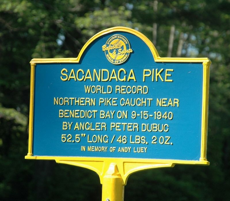 Sacandaga Pike Marker. Click for full size. Sacandaga Pike Marker image. Click for full size.