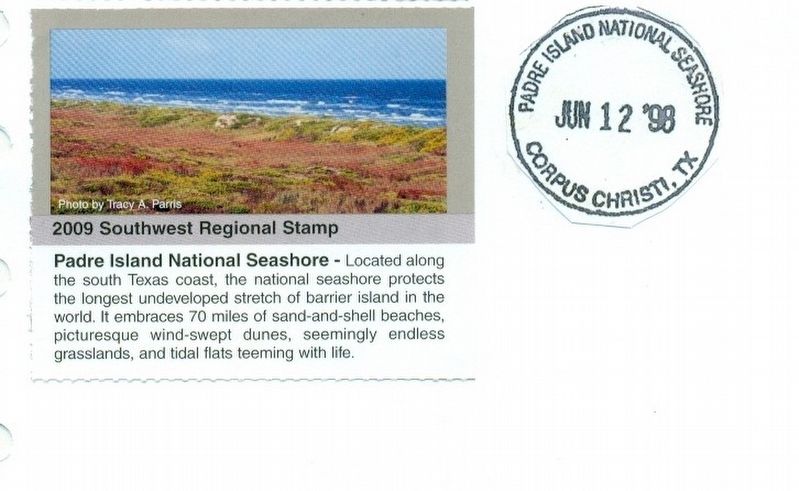 Padre Island National Seashore-stamp from the National Park Service image. Click for full size.
