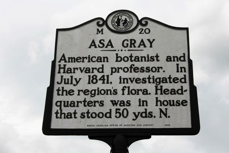 Asa Gray Marker image. Click for full size.