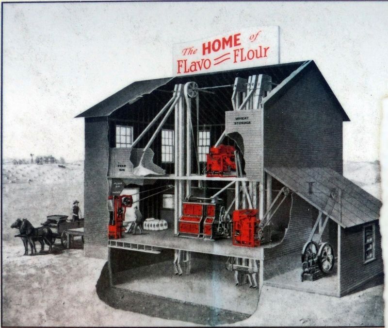 Home of FLavo = FLour image. Click for full size.