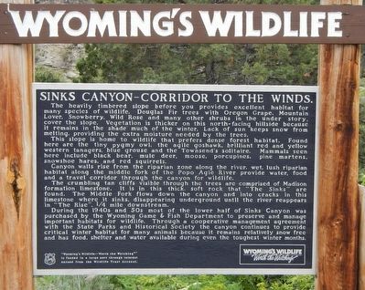 Sinks Canyon - Corridor to the Winds Marker image. Click for full size.