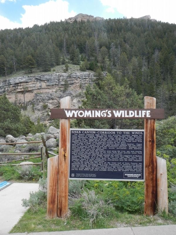 Sinks Canyon - Corridor to the Winds Marker image. Click for full size.