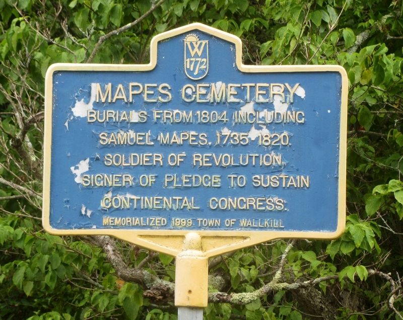 Mapes Cemetery Marker image. Click for full size.