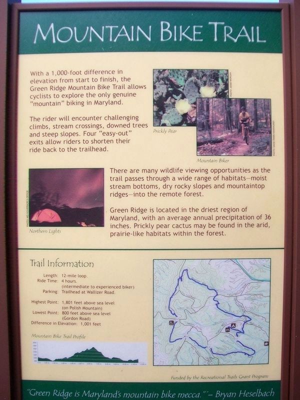 Mountain Bike Trail Marker image. Click for full size.