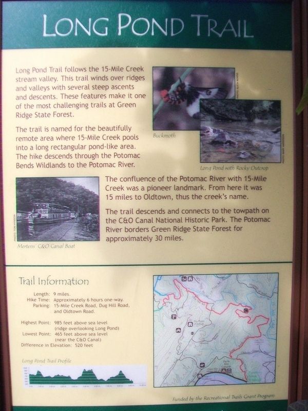 Long Pond Trail Marker image. Click for full size.