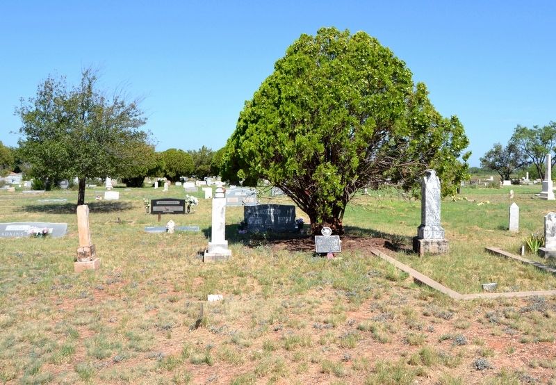 Grave of Locklin Bartholomew Murray in Robert Lee Cemetery image. Click for full size.